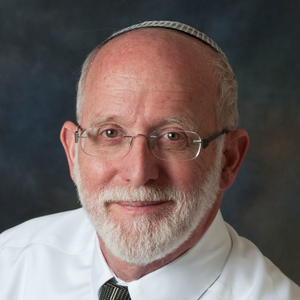 Profile of Rabbi Menachem  Leibtag